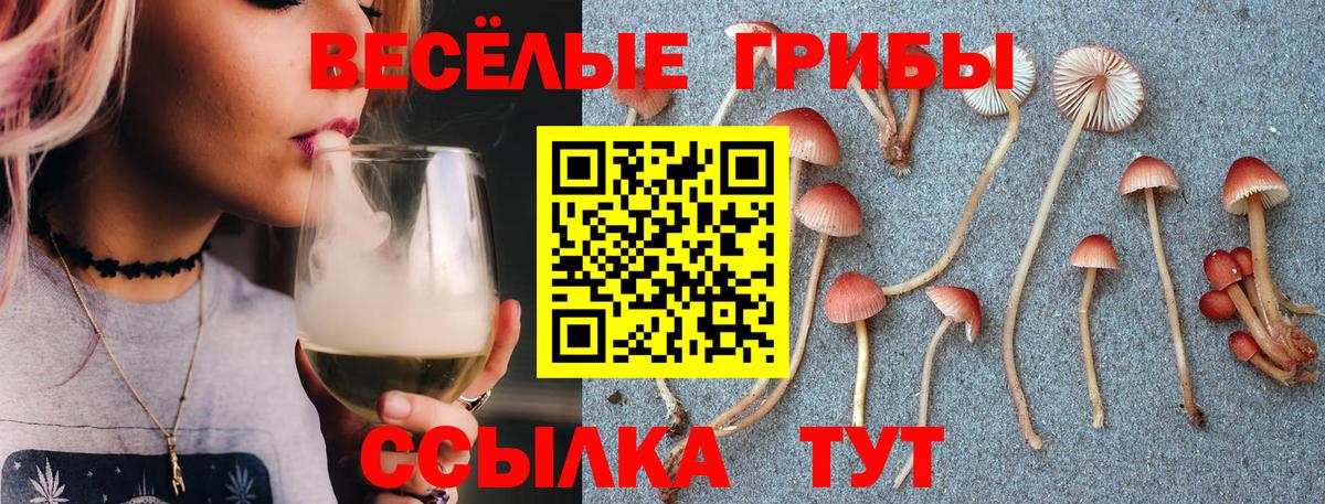 Галлюциногенные грибы MAGIC MUSHROOMS Губкин