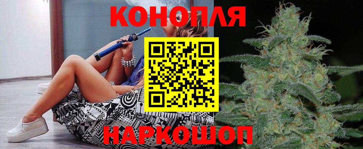 Бошки Шишки сатива Губкин